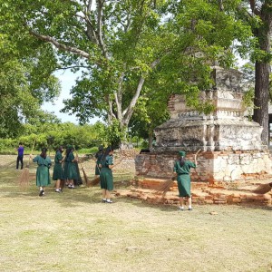 timeline_25650603_070251.jpg