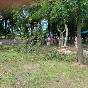 S__66592798.jpg