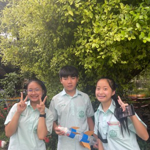 timeline_25650817_160615.jpg