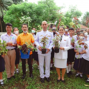  วิทยาลัยนาฏศิลปนครศรีธรรมราช  จัดกิจกรรมการปลูกต้นไม้ "จิตอาสาร่วมปลูกป่า 500,000 ต้น"