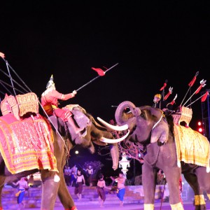 IMG_5399.jpg