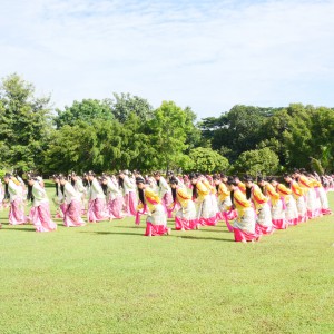 P1035635.jpg