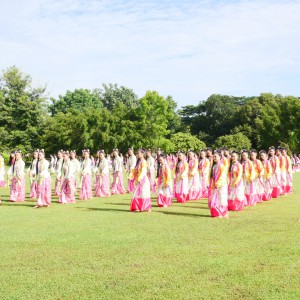 P1035636.jpg
