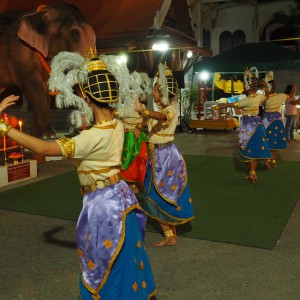 P1017827.jpg