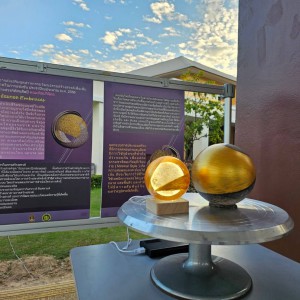 timeline_20240110_152304.jpg