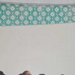 419311_0.jpg