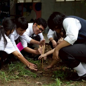 กิจกรรมปลูกต้นไม้สานสัมพันธ์ คณะศิลปวิจิตร ได้รับความอนุเคราะห์ต้นกล้าจากศูนย์เพาะชำต้นกล้าพุทธมณฑล สังกัดกรมป่าไม้